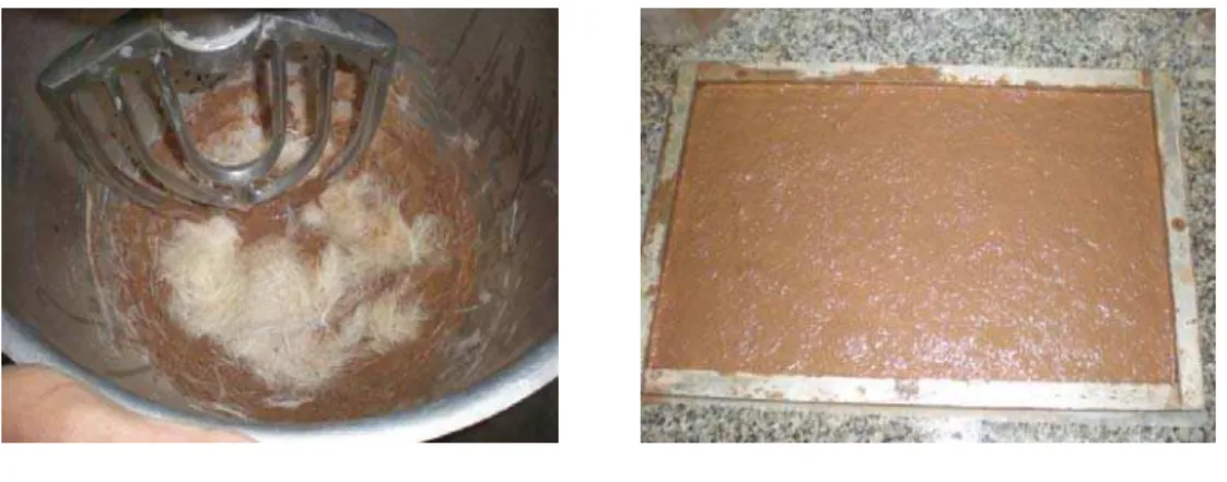 Table 1: Summary of Composites Manufactured  Composite  Reinforced Ratio (%)  Fiber length (mm) 