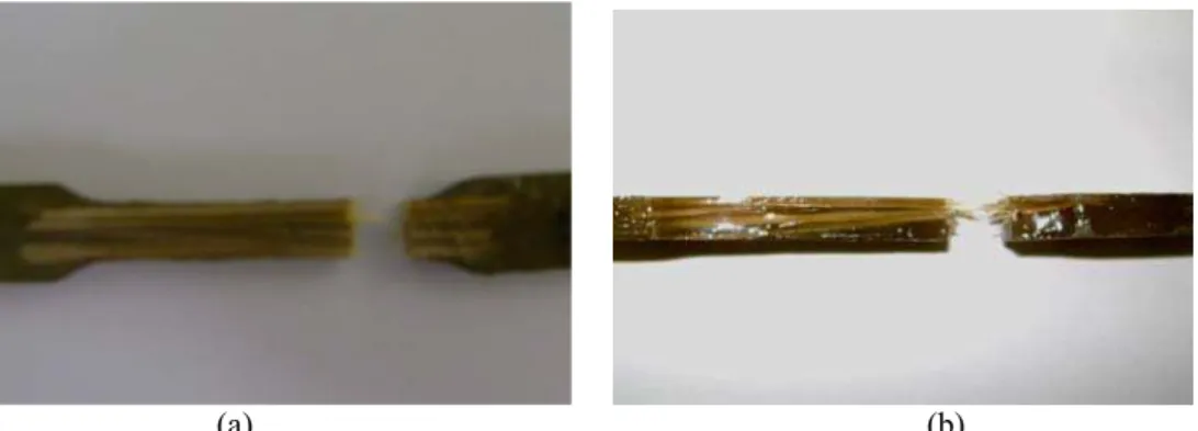 Figure 5: Variation of the tensile strength (a) and the elastic modulus (b) with buriti petiole fiber reinforced  polyester composites