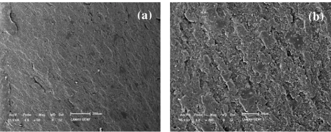 Figure 6: SEM fractographs of pure polyester specimen with different magnifications: (a) 60x and (b) 200x