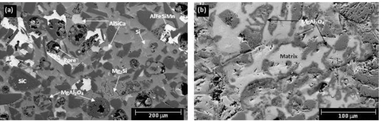 Figure 3: SEM photomicrographs showing the typical microstructure of (a) FA and (b) RHA composites,  before exposure to the humid environment