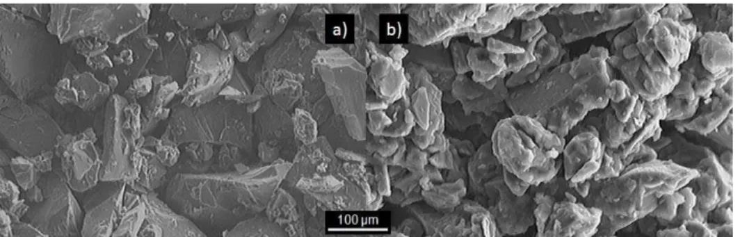 Figure 1: Representative photomicrographs of uncoated and coated SiC particles. 