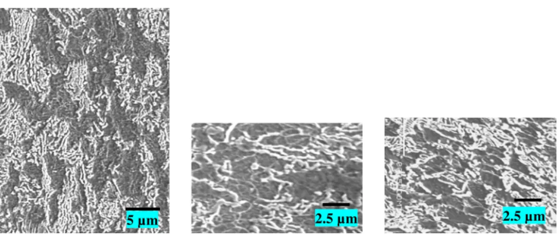 Figure 4: Prior TM treated ferrite-pearlite structure experienced ECAP of N=4 and N=6 passes