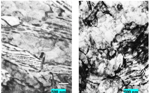 Figure 5: TEM microstructure of ferrite-pearlite resulted after ECAP at 400°C: N=4. 