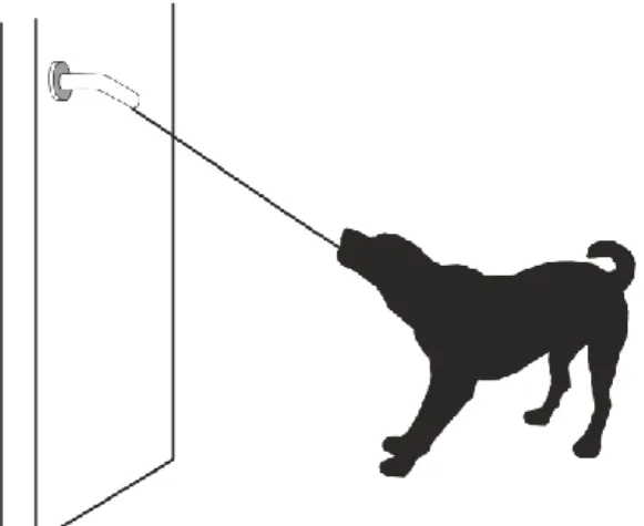 Figura 1. Método habitual de operação de porta pelo Cão de Serviço (através de uma corda na  extremidade do puxador)