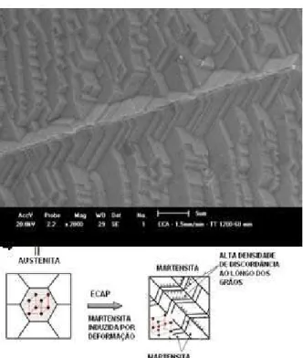 Figure 11: Comparision between duplex stainless steeel processed by ECAE and schematic martensitic  transformation from austenite [13]