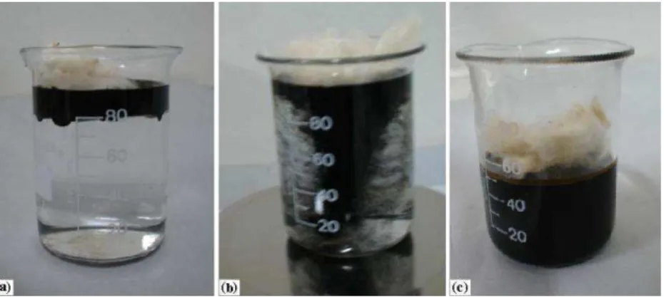 Figure 1: Different sorption experiments just after fiber placement on the oil surface: (a) Static system, (b)  Dynamic system, and (c) Dry system [9]