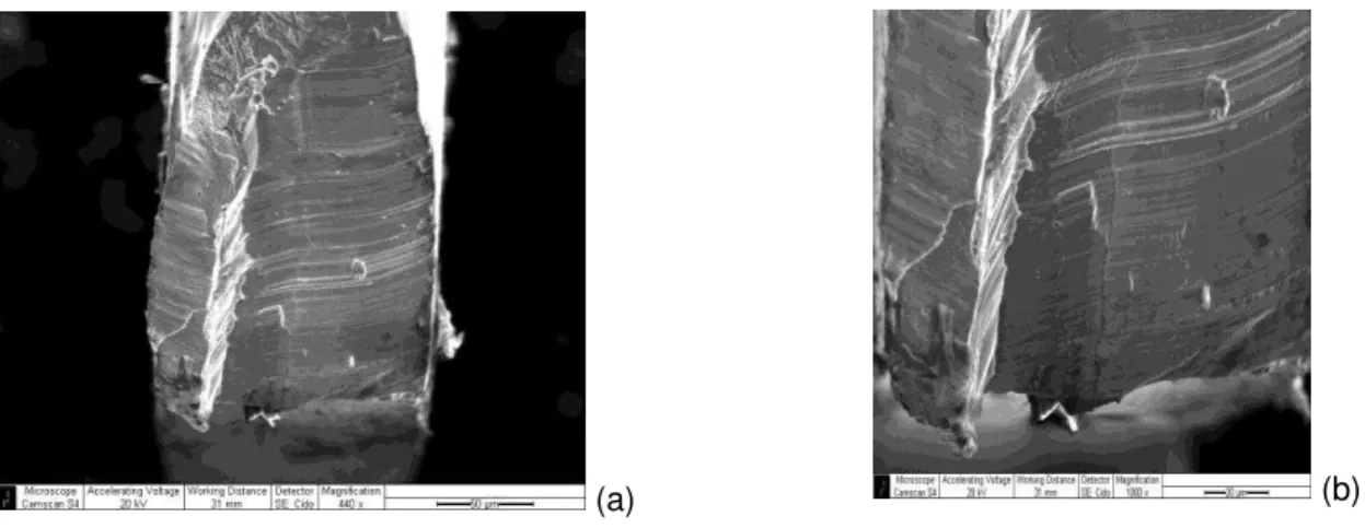 Figure 6: SEM/EBSD image of Ti-6Al-4V microstructure annealed at 800ºC for two hours. 