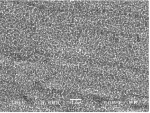 Figure 3: SEM micrographs of cells cultured for 24 hours on: (a-b) cp Ti, (c-d) sodium titanate (Na-Ti) and  (e-f) Ti-OCP