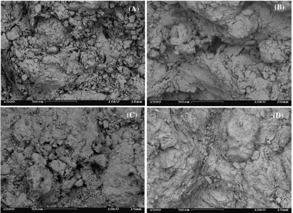 Figura 2: Micrografias obtidas por MEV da região de fratura das cerâmicas com aumento de 500 x: (a)  Portugal; (b) Santa Catarina; (c) Piauí; (d) Campos