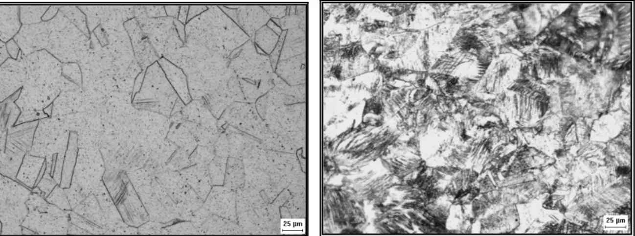 Figura 1: Micrografias do aço inoxidável austenítico 304. a) Recozido, b) Laminado a frio 30%