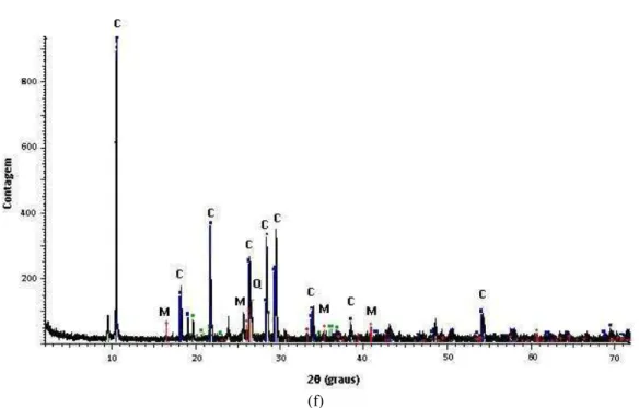 Figura 10: Difratogramas de raios X das composições investigadas: (a) C1; (b) C2; (c) C3; (d) C4; (e) C5;     