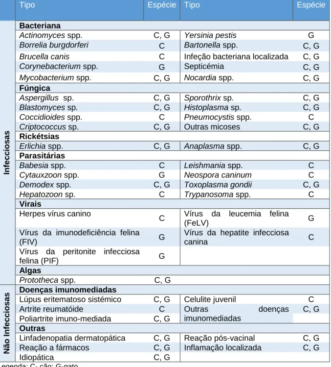 Tabela  3-  Principais  etiologias  dos  diferentes  tipos  de  linfadenopatias  proliferativas  (infecciosas e não infecciosas) em cão e gato (adaptado de Couto, 2014a)