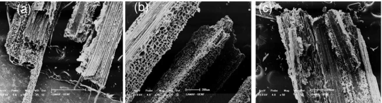 Figure 7 presents, with the same magnification of 50X, typical SEM micrographs of tensile ruptured  buriti fibers irradiated with different doses