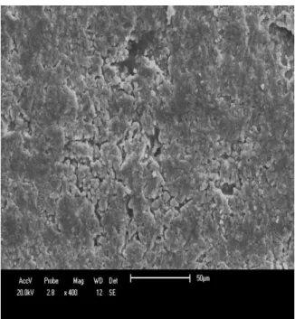 Figura 6: Micrografia do corpo de prova preparado a partir da massa básica ampliado 400 vezes