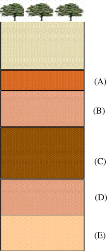 Figura 1: Perfil geológico da bauxita do Pará. Em (A) BN, em (B) BNC, em (C) BC, em (D) BCBA e em (E) BA