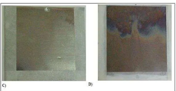 Figura 5: Fotografias das amostras após 24 horas de imersão em NaCl 3,5%  (A) 5%UPS sobre ZnFe (B)apenas ZnFe  (C) 5%UPS sobre ZnCo (D) apenas ZnCo