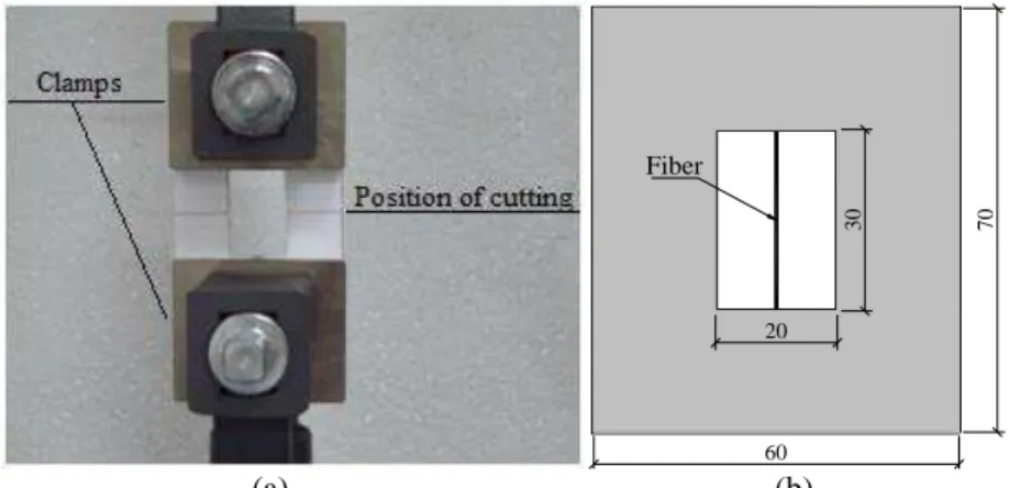 Figure 1: Tensile test setup (a) and specimen setup (b) (all dimensions in millimeter)