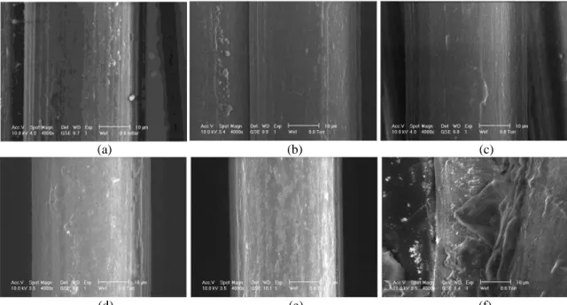 Figure 8: Scanning electron microscopy images of PVA fiber samples. Unheated (a) and after heating to  90°C (b), 110°C (c), 145°C (d), 220°C (e) and 250°C (f) 