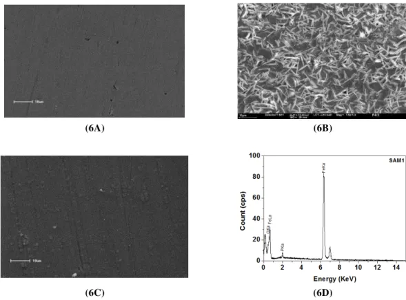 Figura 6: Imagem de Microscopia eletrônica de varredura da superfície. Em (A), matriz de aço carbono 1008 apenas  polido com aumento de 1000X; em (B), aço carbono tratado com PZn, aumento de 1500X; em (C), aço carbono tratado 