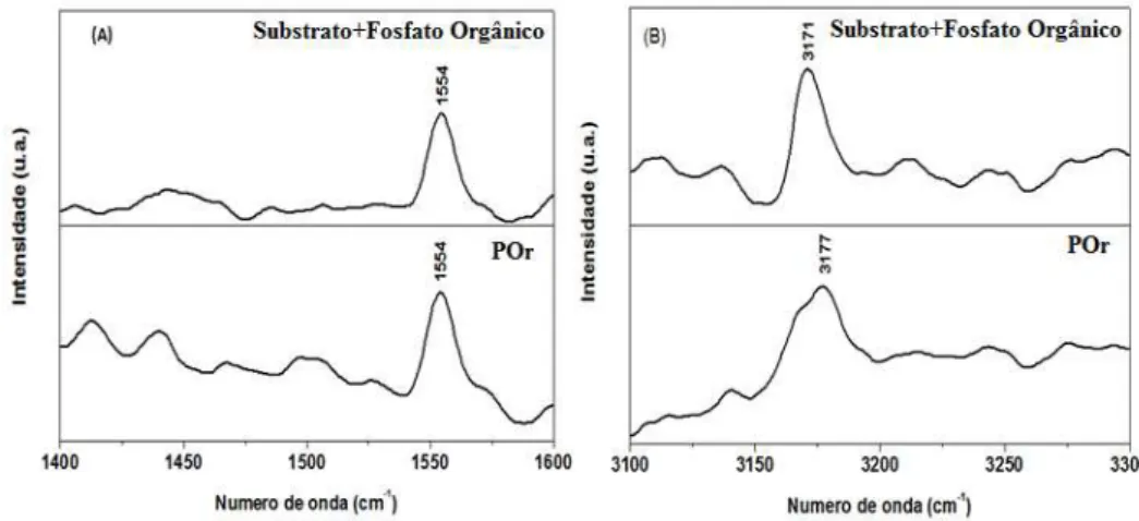 Figura 8: Ampliação dos espectros Raman de amostra da POr (pó) e do aço carbono contendo o filme POr