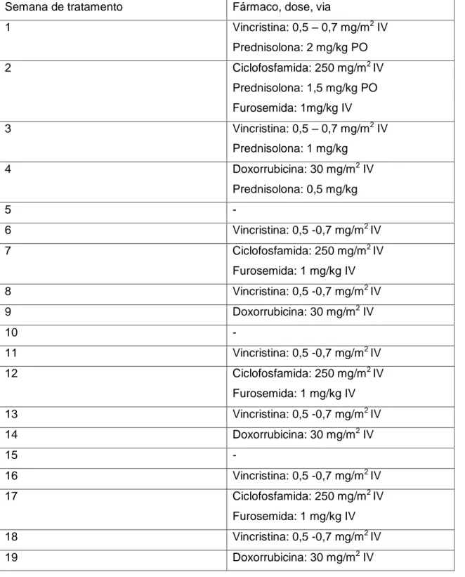 Tabela 5: Protocolo quimioterápico combinado curto da Universidade de Wisconsin-Madison  para o tratamento de linfoma canino
