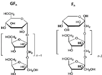 Figura 1 - Estrutura química da inulina (GF n  e F n )   Fonte: adaptado de Franck, 2006.