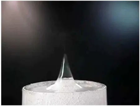 Figure 17: A polymer bubble in presence of an electrostatic field  