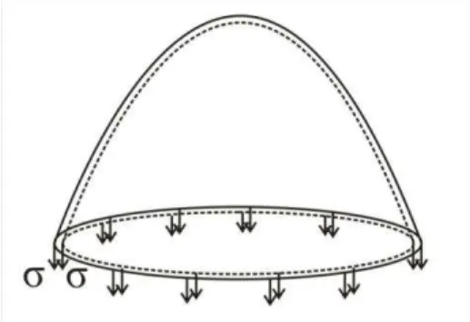 Figure 1:  Surface tension of a bubble  