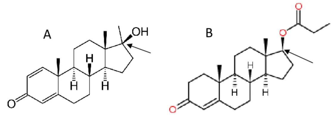 Figura 2: (A) metandrostenolona, EAA com grupo metila na posição 17-alfa (seta) e ativo  por via oral; (B) propionato de testosterona, com o grupo éster em posição 17-beta