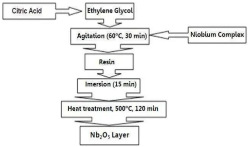 Figure 1. Fluxogram of the method to obtain the Nb 2 O 5  film. 