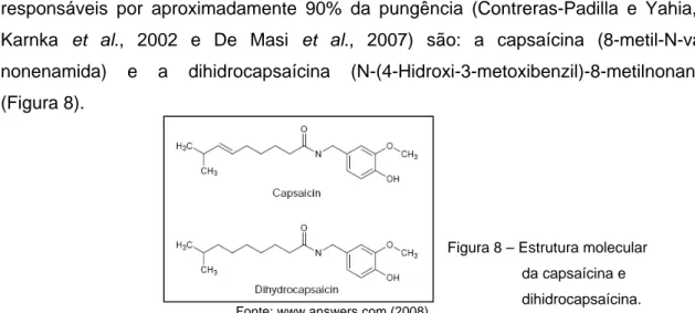 Figura 8 – Estrutura molecular       da capsaícina e  dihidrocapsaícina.  