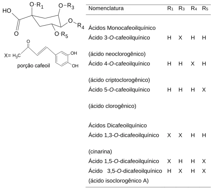 Figura 1. Estrutura química de ácidos cafeoilquínicos presentes na Cynara scolymus. 