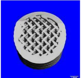 Figure 5: Interconnected structure of BCP sintered scaffold revealed by micro-CT image.