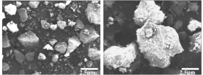 Figure 1: Scanning electron microscopy of pulverized coal.