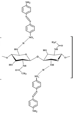 Figura 4: Possível ligação de hidrogênio do grupo hidroxi da quitina presente na parede celular de Saccharomyces cere- cere-visiae e o grupo sulfônico da molécula do corante