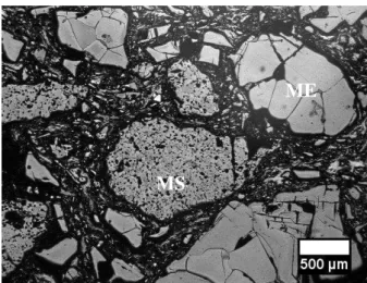 Figure 2: Image of the microstructure of brick B (ME: electrofused magnesia, and MS: sintered magnesia)