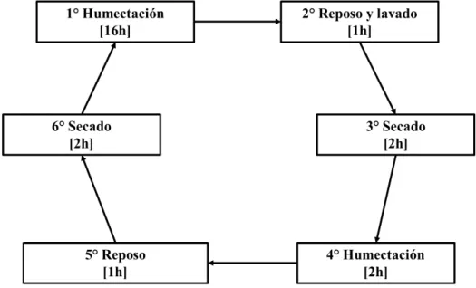 Figura 3: Representación de un ciclo de humectación salina y secado. 