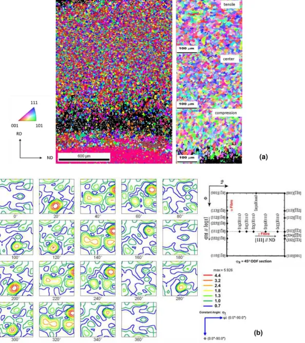 Figure 1: Figure 1(a) OIM maps of the bent speciment without any heat treatment, showing the differences between the  tensile, compressive and central (undeformed) areas, (b) show the  evolution of texture of  section  the ODF´s of   2 =0 o  -360  o  of t