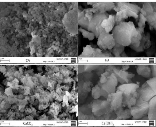 Table 1: Characteristics of the raw materials  Calcined  alumina  (CA,   -Al 2 O 3 )  Hydratable alumina (HA, -Al2O 3 )  Calcium carbonate (CaCO3)  Calcium hydroxide (Ca(OH)2)  Solid  densi-ty (g.cm -3 )  3.95  2.72  2.83  2.21  Specific  surface area  (