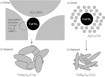 Figure 6: Scanning electron microscopy for samples (a) CA-CaCO 3  (85.9:14.1), (b) CA-Ca(OH) 2  (89.0:11.0) sintered at  1600  o C, and (c) HA-CaCO 3  (88.0:12.0), (d) HA-Ca(OH) 2  (90.5:9.5) sintered at 1650  o C