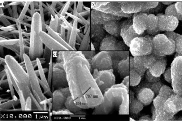 Figure 1 shows different SEM images of the ZnO Nanorod CdTe nanoparticle core-shell arrays