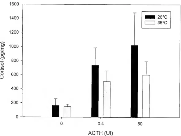 Figura 7 - Efeito da temperatura e dose de ACTH nos níveis de cortisol. Houve uma dose resposta  significativa na produção de cortisol por estimulação com ACTH, mas não houve efeito significativo da  temperatura