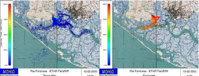 Figura  8:  Resultados  da  modelação  da  Pluma  de  emissão  de  coliformes  fecais  para  a  ETAR  de  Faro NW em situação de vazante (esquerda) e enchente (direita)