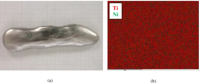 Figura 1: Fotografia do lingote da liga Ti-10%pNi (a) e mapeamento, por EDS, mostrando a distribuição dos elementos  titânio e níquel na liga Ti-10%pNi (b)