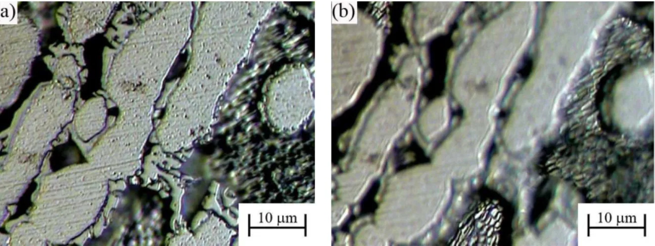 Figura 11: Análise dos pites da microestrutura após ensaios de polarização no SD-A tratado termicamente a 950 ºC por  15 minutos