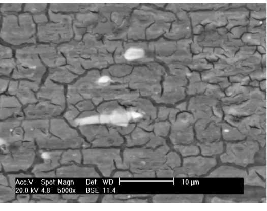 Figure 5: Micrographs of the AA 2024-T3 alloy treated with (a) trivalent chromium and (b) hexavalent chromium