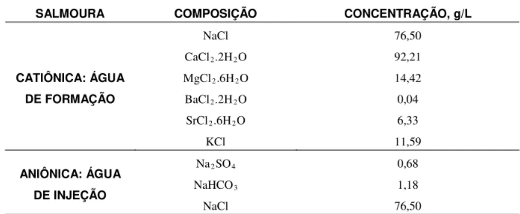 Tabela 1: Composição das salmouras catiônica e aniônica utilizadas nos estudos. 