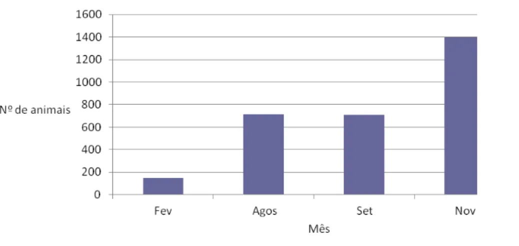 Figura 5: Número de observações por mês de nascimento no período  estudado. 