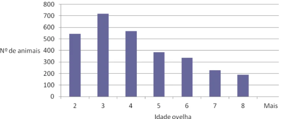 Figura 8: Número de observações por idade da ovelha 