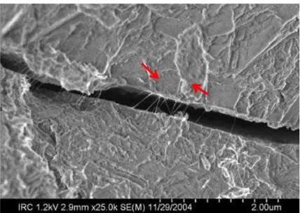 Figura 2: Microfissura na pasta de cimento com adição de NTCs agindo como pontes de aderência [15]